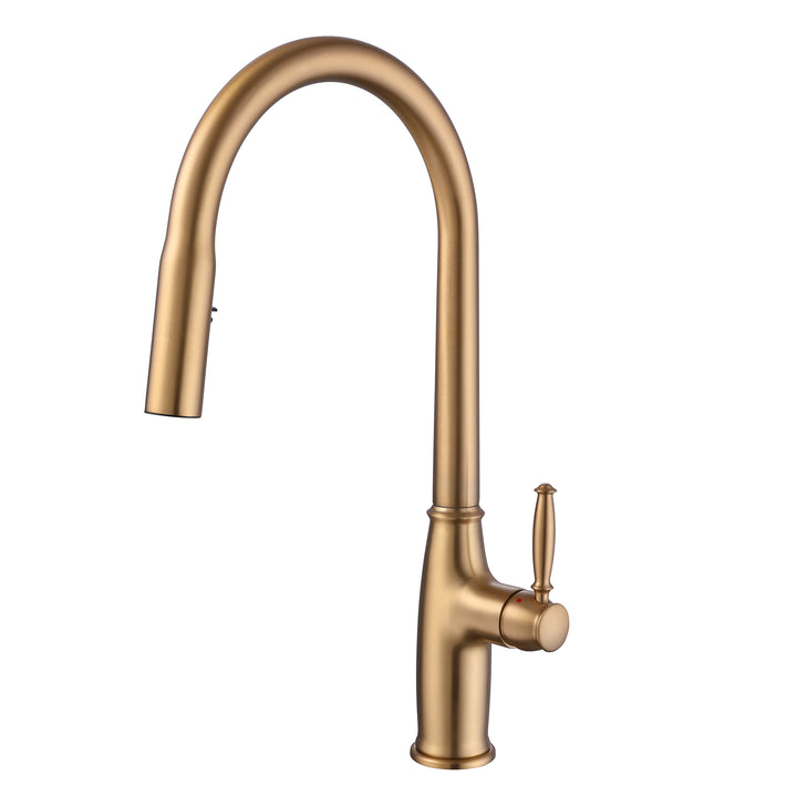 Dual-Function Pull Out Kitchen Faucet With Single Handle and Swivel Spout - Modland