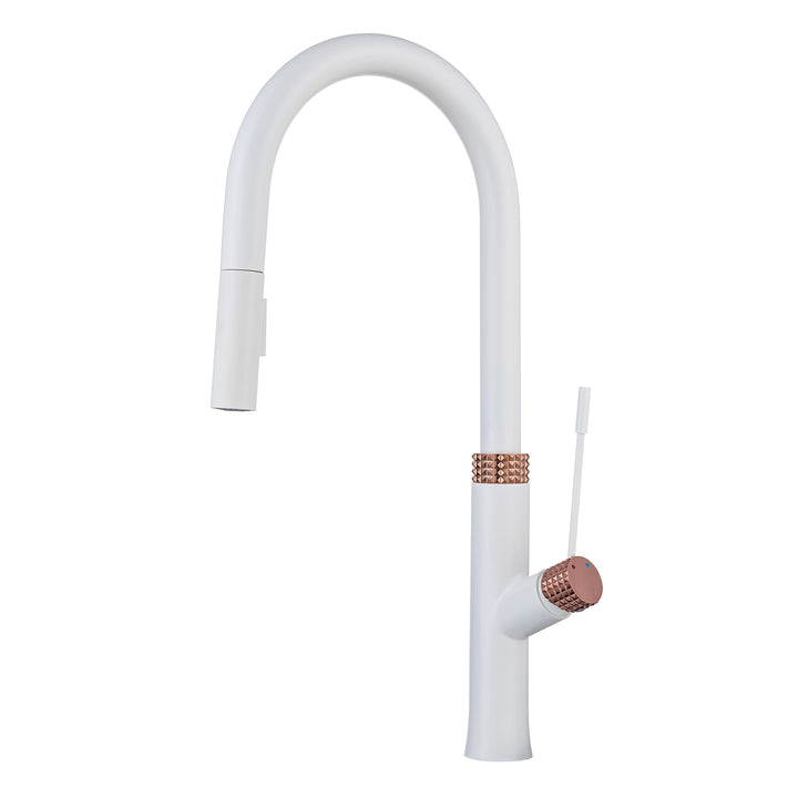 Dual-Function Pull Out Kitchen Faucet With Single Handle and Swivel Spout - Modland