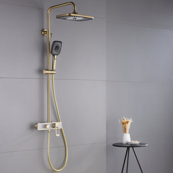 Dual Handle Shower System With Multi-Function Hand Shower