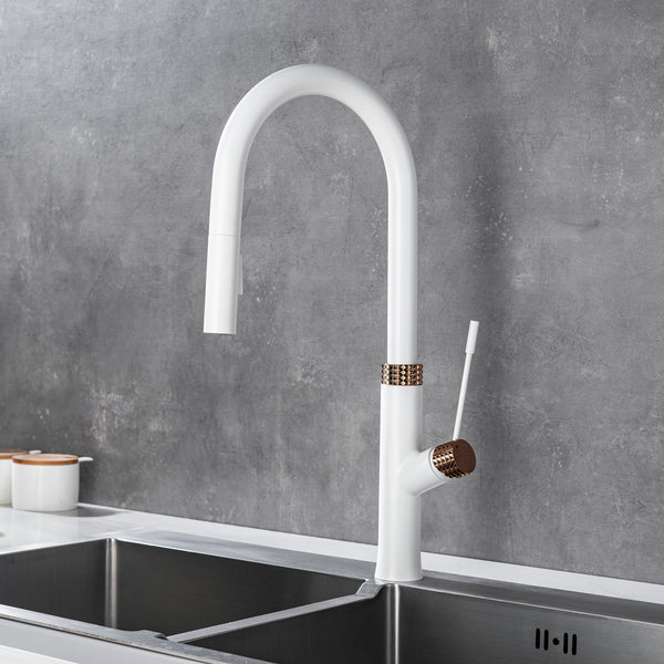 Dual-Function Pull Out Kitchen Faucet With Single Handle and Swivel Spout - Modland