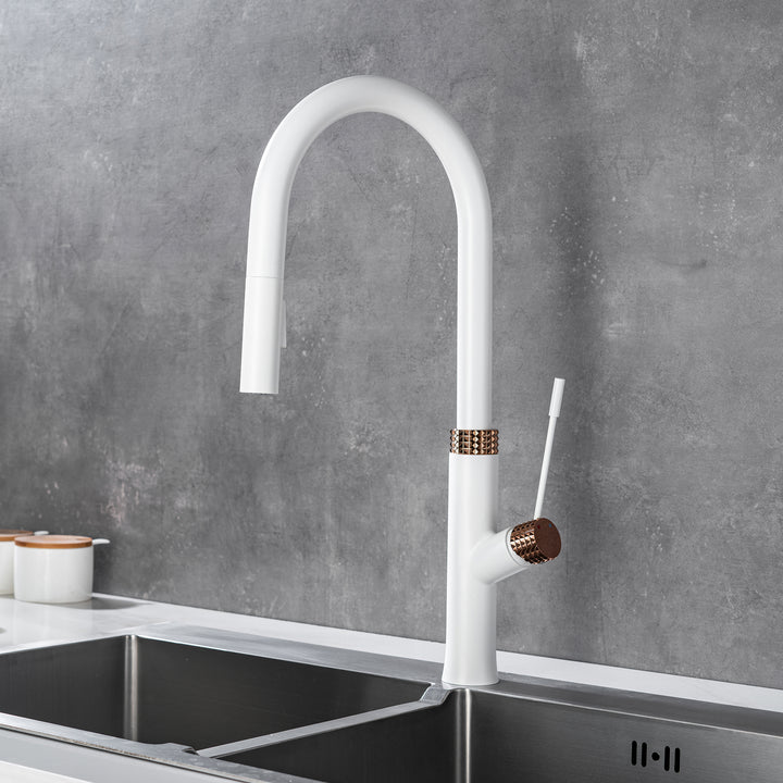 Dual-Function Pull Out Kitchen Faucet With Single Handle and Swivel Spout - Modland