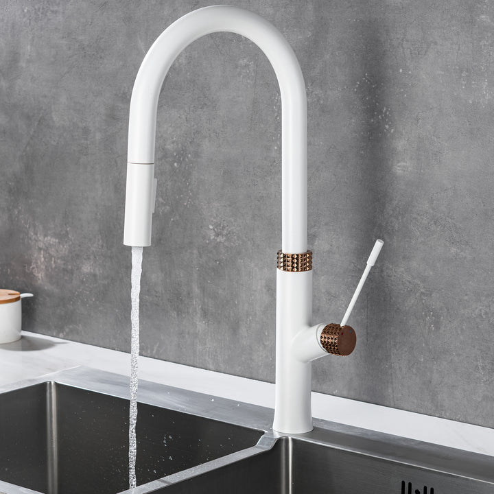 Dual-Function Pull Out Kitchen Faucet With Single Handle and Swivel Spout - Modland