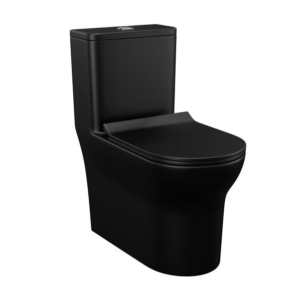 Dual Flush Elongated Standard One Piece Toilet with Comfortable Seat Powerful & Quiet Dual Flush Modern Toilet, Matte Black Finish