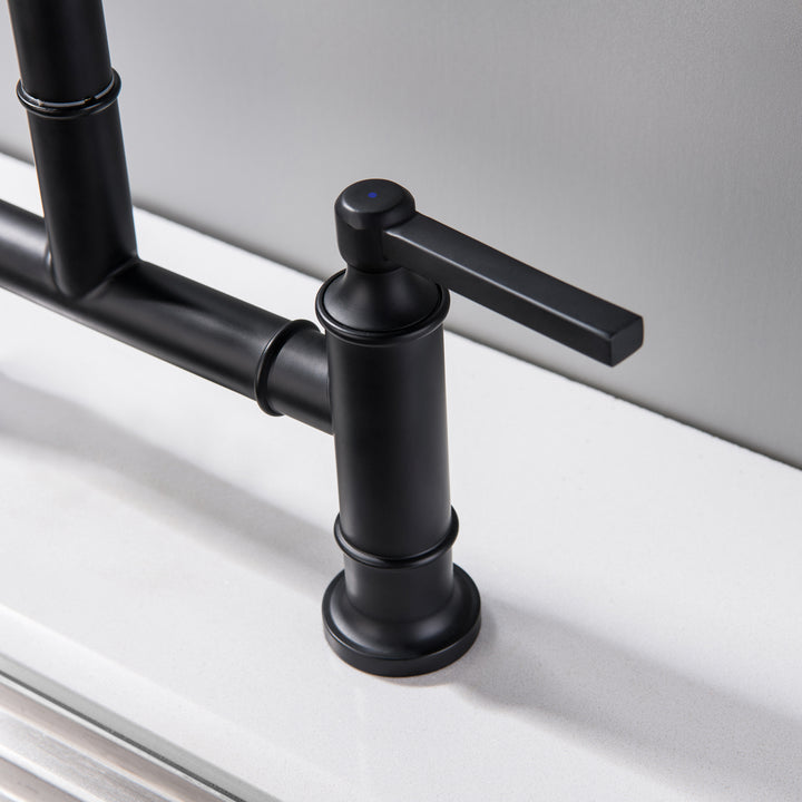 Double Handle High-Arc Bridge Kitchen Faucet With Side Spray - Modland