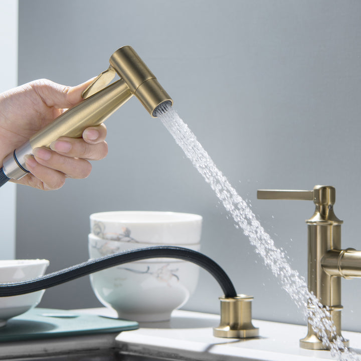 Double Handle High-Arc Bridge Kitchen Faucet With Side Spray - Modland