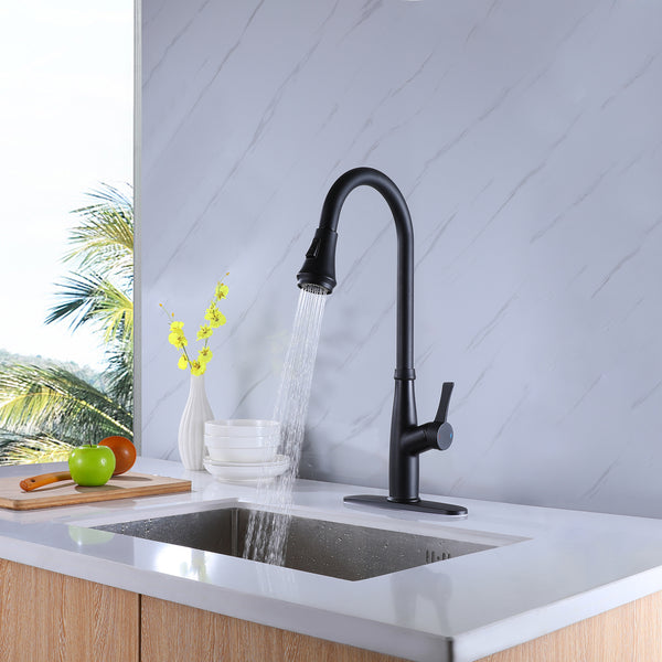 Pull Out Single Handle Two Function Deck Mounted Kitchen Faucet - Modland