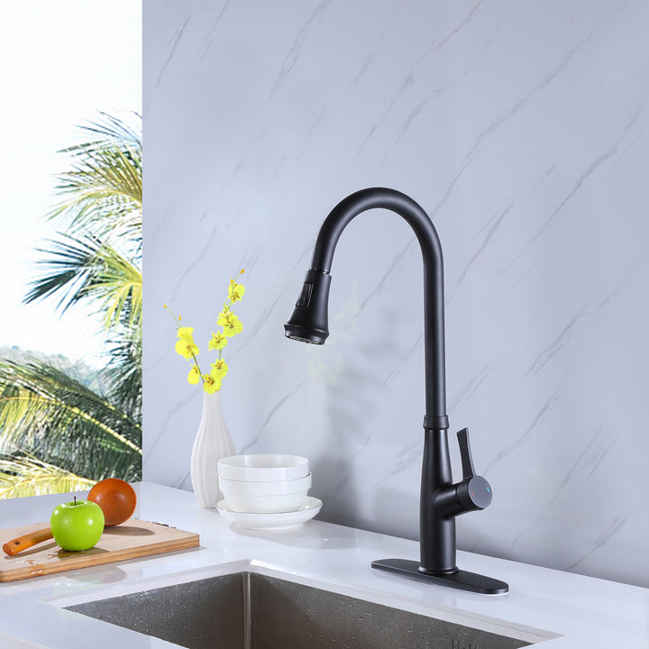 Pull Out Single Handle Two Function Deck Mounted Kitchen Faucet - Modland