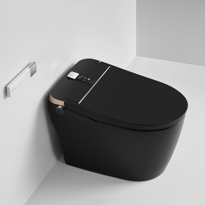 Modland Smart Toilet with Bidet, Auto Open/Close Lid - Modland