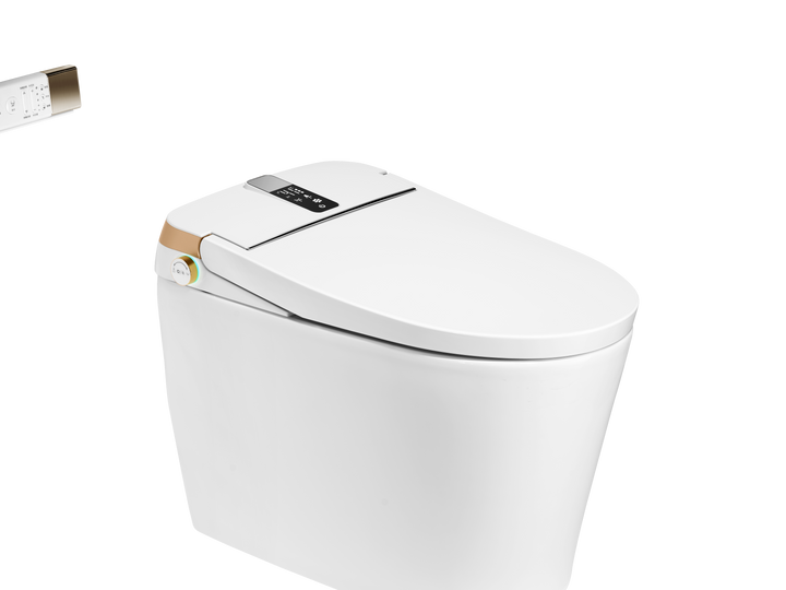 Modland Smart Toilet with Bidet, Auto Open/Close Lid - Modland