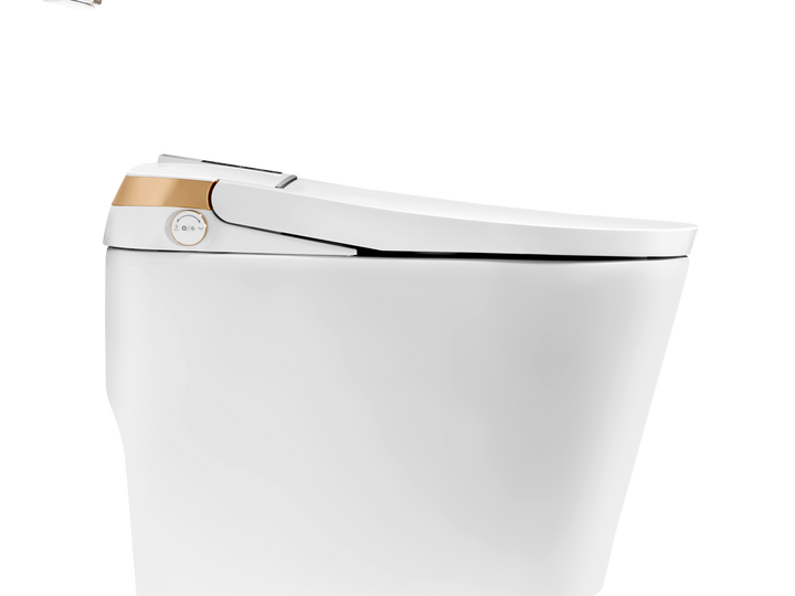 Modland Smart Toilet with Bidet, Auto Open/Close Lid - Modland