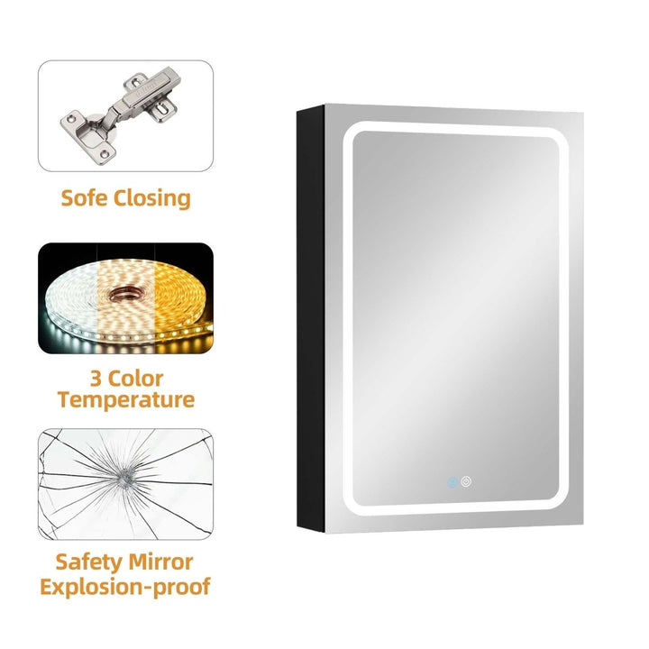 50 in. W x 30 in. H LED Bathroom Black Medicine Cabinet Surface Mount - Modland