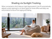MODLAND P5 roller shades partially lowered over a living room window to illustrate sunlight tracking.